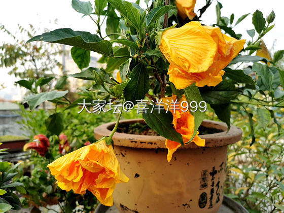 万般美好不尽然，还有粗糙和来不及…只一晃神，就换了番景象🍂