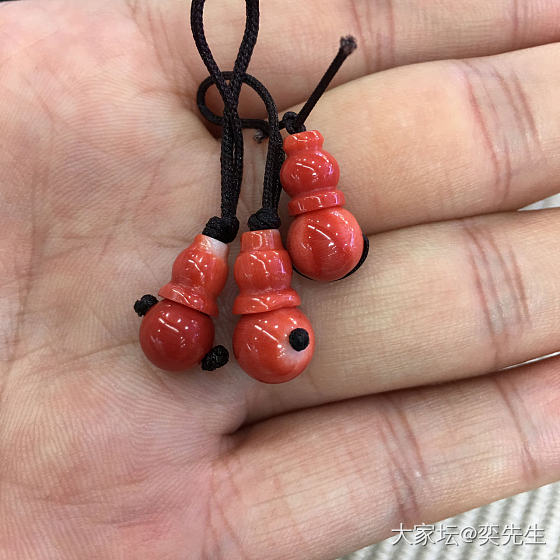 哈哈，颜色是好啊……在琢磨配啥串效果最好😅_珊瑚