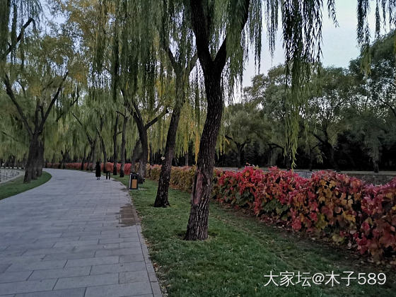 颐和园的傍晚
5点，天就要黑了，走走溜达一圈西门进，南如意门出，3000步。。。_北京旅游