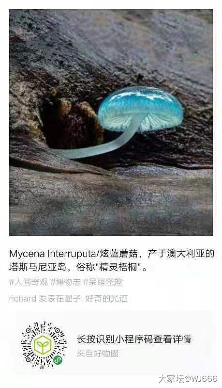 像不像素面帕拉伊巴？_碧玺