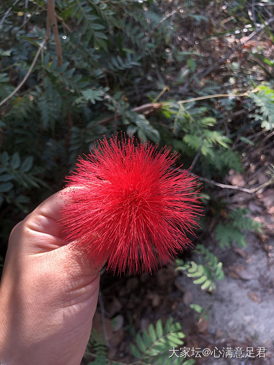 厦门植物园_厦门植物