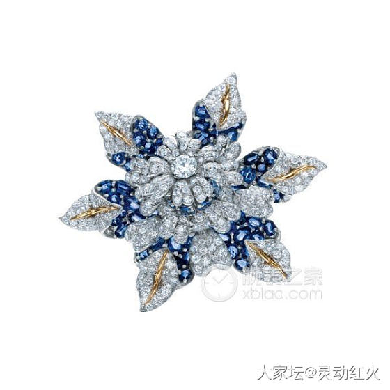 拔草t家经典"石上鸟"🐦胸针 紫锂辉 下步计划"海洋之花" 预计遥遥无期呢🤣_锂辉石