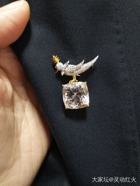 拔草t家经典"石上鸟"🐦胸针 紫锂辉 下步计划"海洋之花" 预计遥遥无期呢🤣_锂辉石