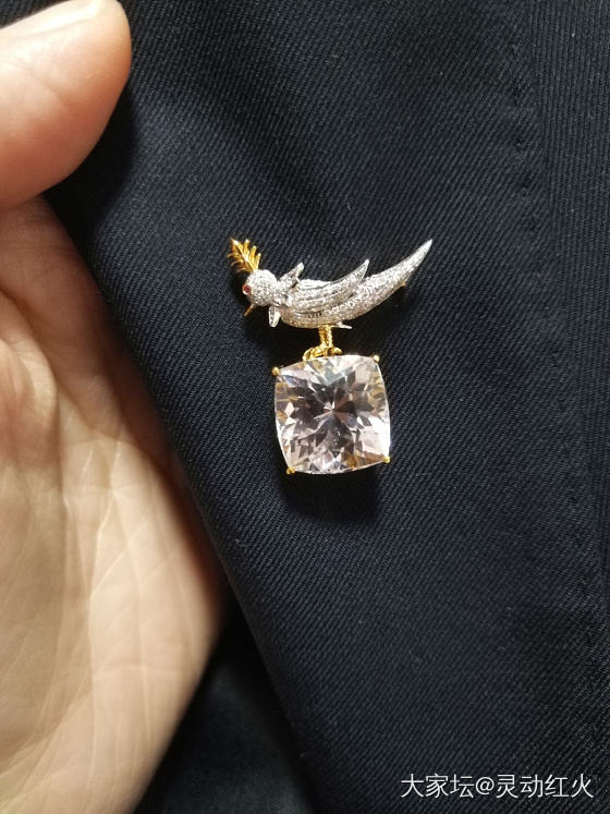 拔草t家经典"石上鸟"🐦胸针 紫锂辉 下步计划"海洋之花" 预计遥遥无期呢🤣_锂辉石