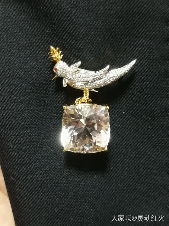 拔草t家经典"石上鸟"🐦胸针 紫锂辉 下步计划"海洋之花" 预计遥遥无期呢🤣_锂辉石