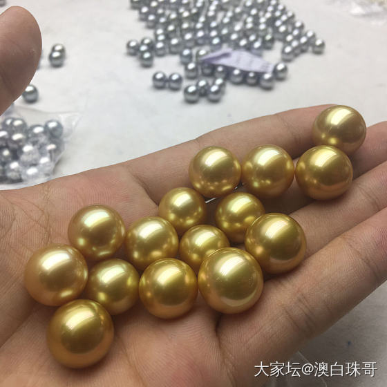 发个贴给各位普及一下金珠_海水珍珠