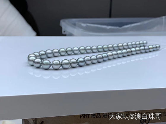 大溪地灰珍珠_海水珍珠