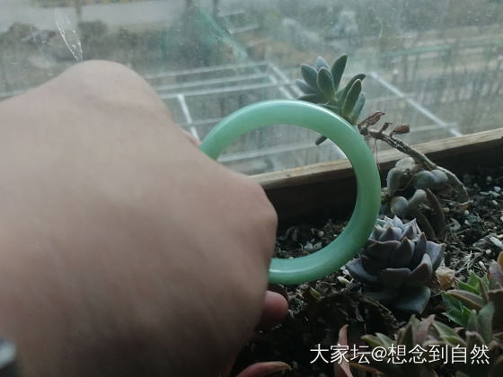 果然条子阳光下蛮好的嘛！_手镯翡翠
