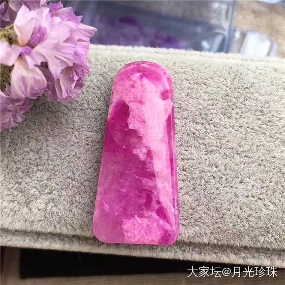 梦见舒俱来_舒俱来