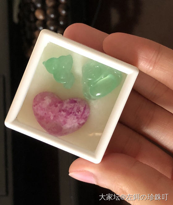 梦见舒俱来_舒俱来