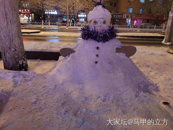 今年居然元旦前就下雪了，不容易啊_闲聊