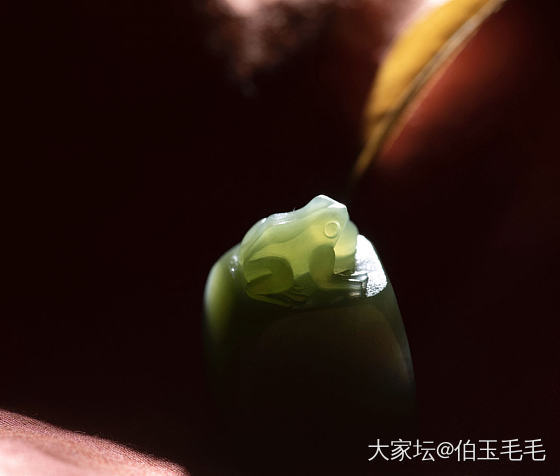早哇~呱呱呱🌼😂_和田玉