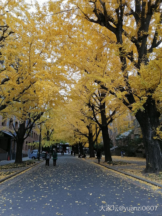 旅行中，放几张照片上来_和田玉手饰发晶翡翠