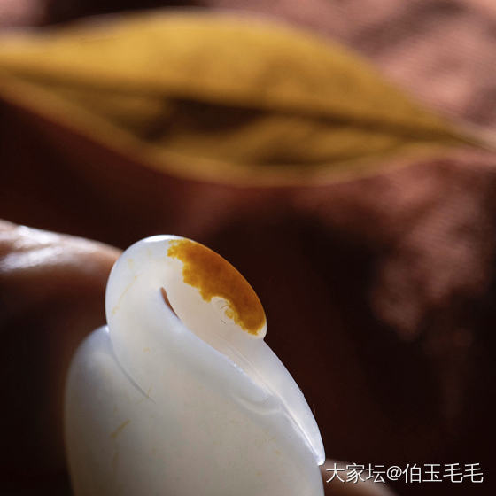 白鹭~_和田玉