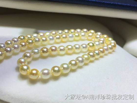 akoya混彩项链_珍珠