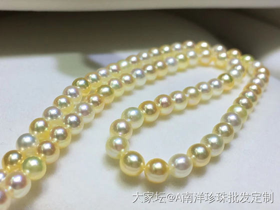 akoya混彩项链_珍珠