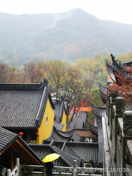 深秋的杭州来体验下_杭州景色旅游