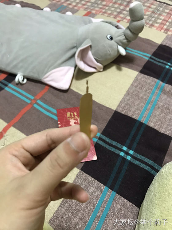 黄金阳光桑尼号_金