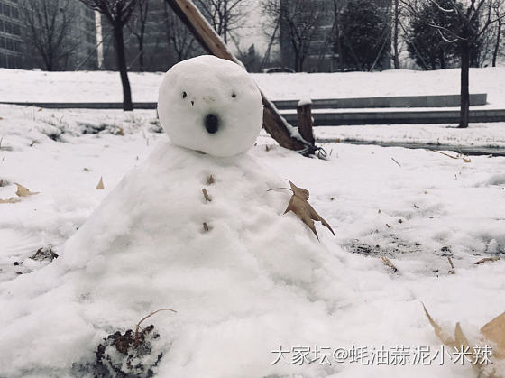 堆雪人喽
⛄️_闲聊