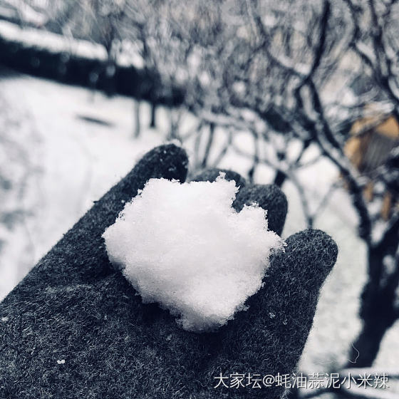 堆雪人喽
⛄️_闲聊