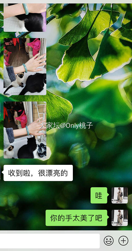 翡翠手镯买家秀 这买家秀谁抢镜了？_翡翠