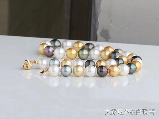 怎么办呢，这两条那条好看_珍珠