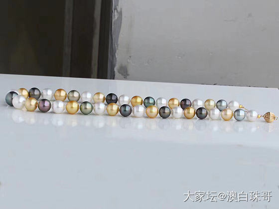 怎么办呢，这两条那条好看_珍珠