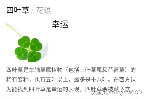 四叶草_福利社耳钉K金