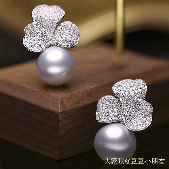 入了对大白蛋_珍珠