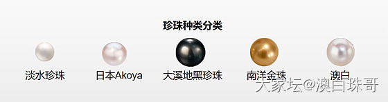如何挑选珍珠呢？_珍珠