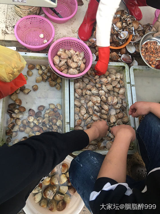 我上次来广西没吃到海虫。这次补起了