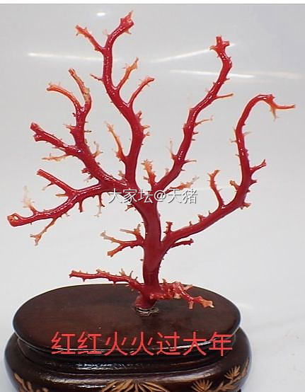 祝坛子里的美女大神们庚子年吉祥