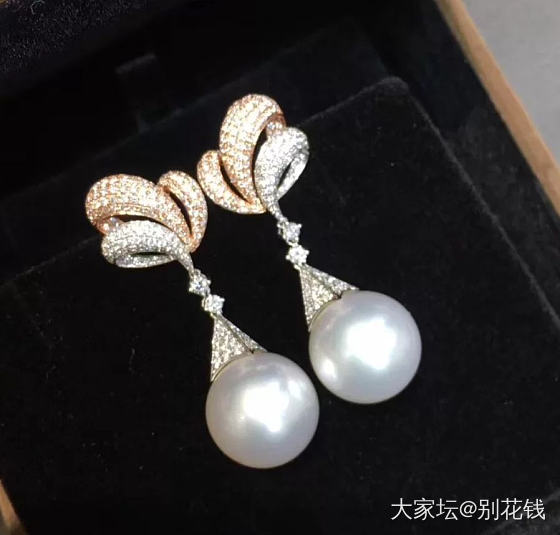 被澳白种草，第一次买，求坛友指点_珍珠