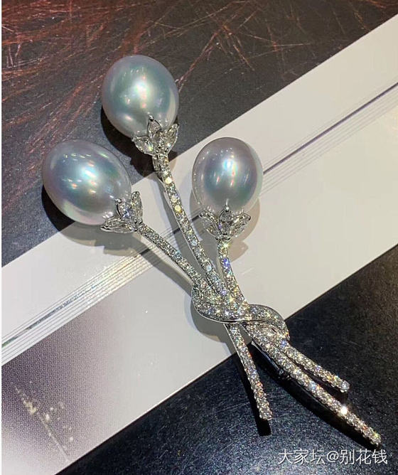 被澳白种草，第一次买，求坛友指点_珍珠