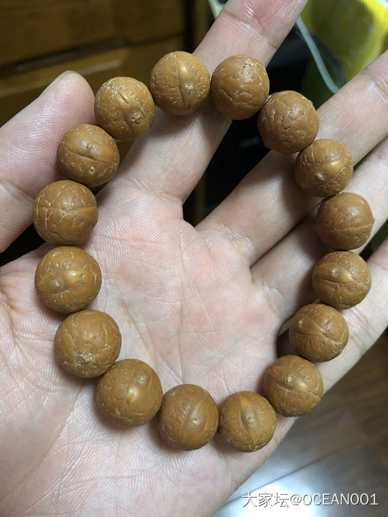 凤眼菩提_菩提子