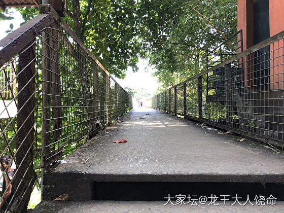 今天在山上最好的超市逛了一圈，居然发现了李锦记酱油果断买下，买完蓝宝石。中午手把..._集散地
