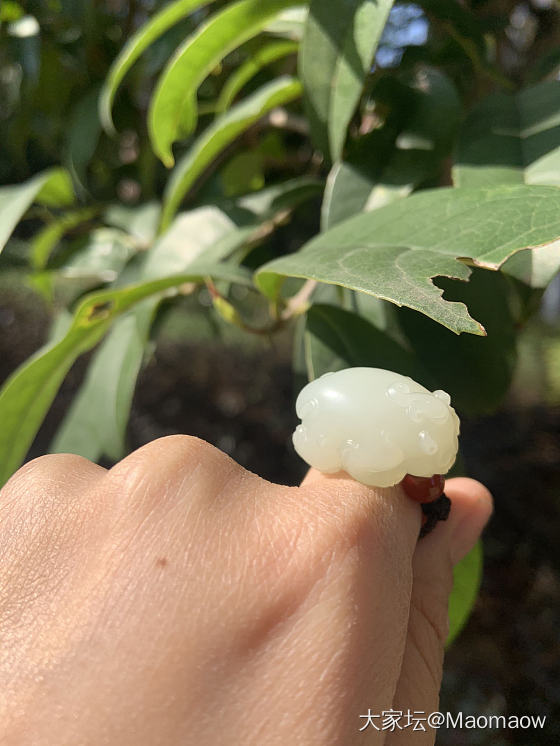 可可爱爱的小貔貅～～_花件和田玉
