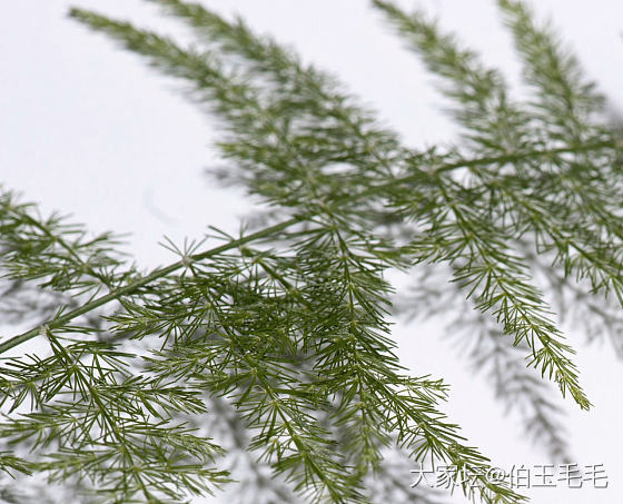 离别~
一抹淡淡的忧愁浮上心头...  ​​​
慢慢的不知道家是异乡
还是异乡是...