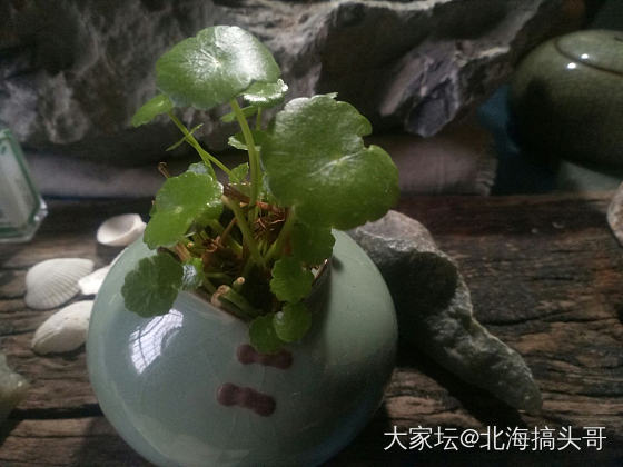 早餐，你们吃没？