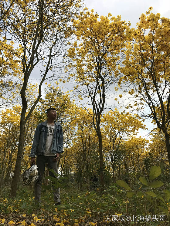 待到山花烂漫时，她在丛中笑。_和田玉