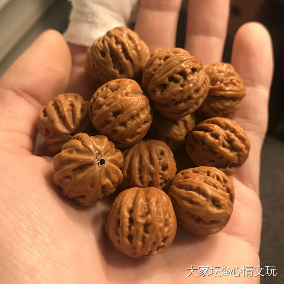 宁玩一精不玩烂货一堆！_核桃