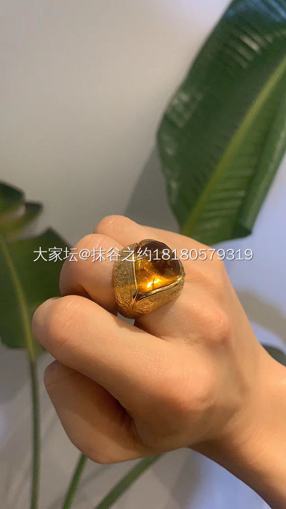 琥珀昆虫戒指18k金手工戒指_琥珀蜜蜡