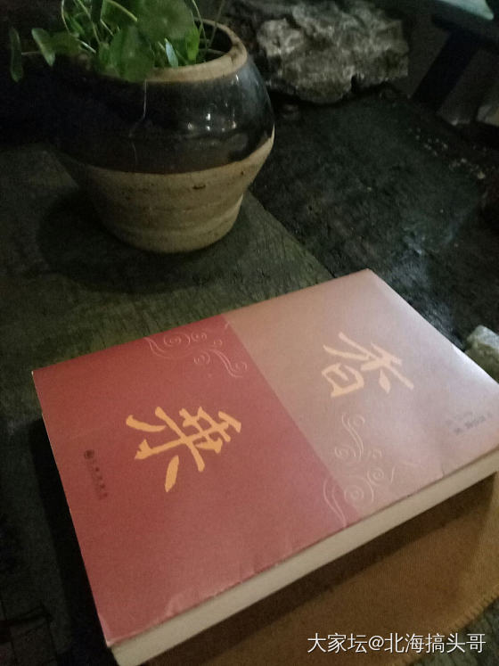 红袖添香读闲书，乃人生一大乐事也