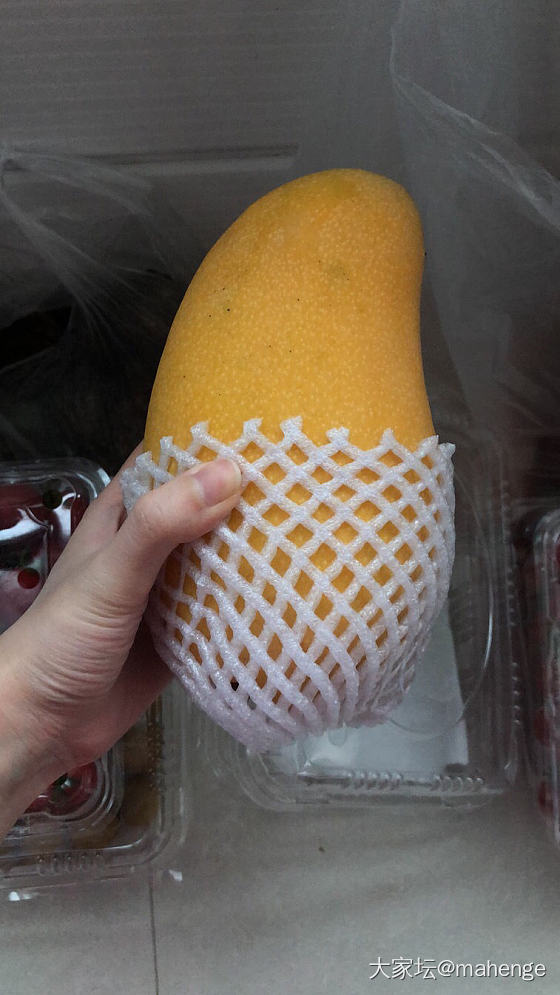 买了个大芒果🥭🥭🥭_水果