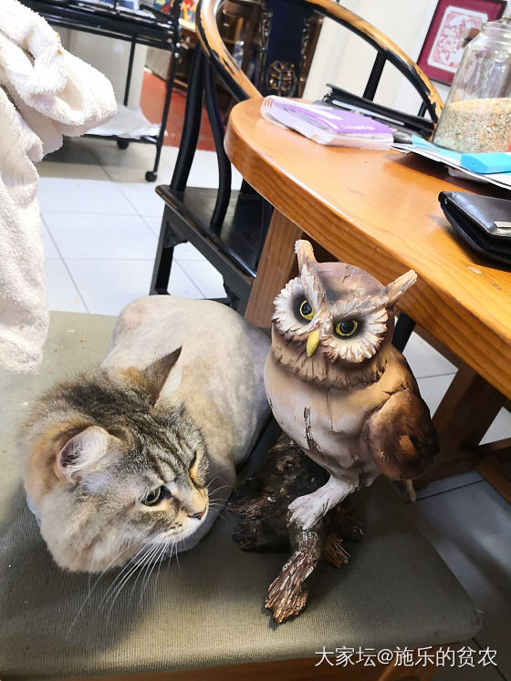 雕塑《夜猫》_雕刻