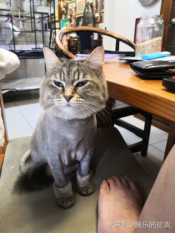 雕塑《夜猫》_雕刻