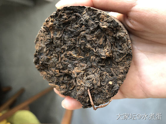 闭关喝茶_茶叶