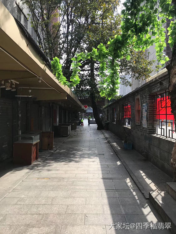 疫情快快结束吧，撑不住了