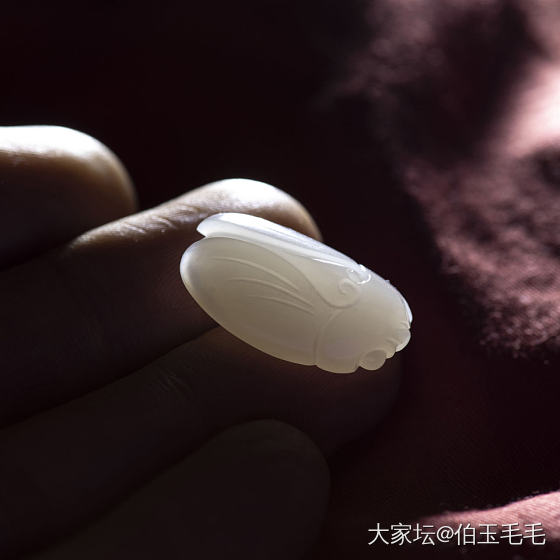 蝉~_和田玉
