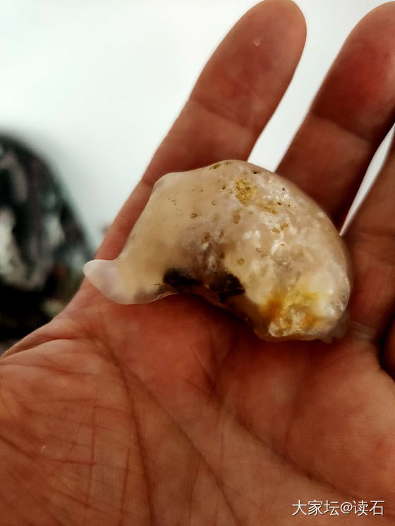 不上班在家里挑出来的象形石_戈壁玛瑙